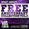FREE Anniversary Collection Vol. 3 | 7.8 GB of the Best Future Bass, Trap & EDM Kits & Samples!