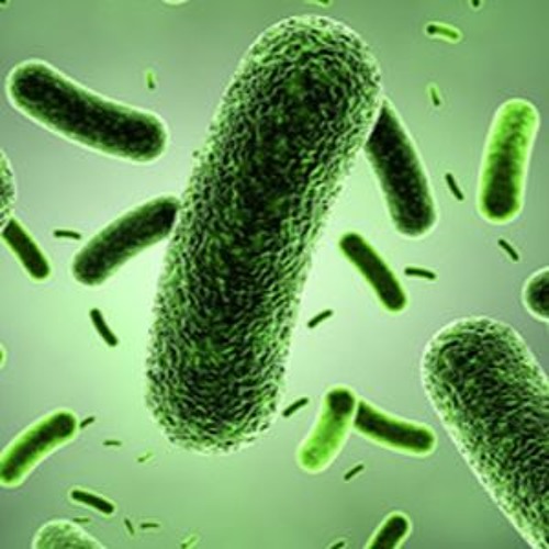 Dax J - Escape the system (Romano Schaap remix)