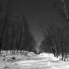 Зимова Ніч(Winter night)