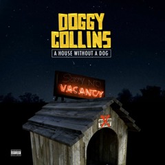 Doggy Collins - Love Somebody