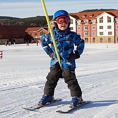 Vi Drar Till Fjällen (Karins Guldpojkar Remix)
