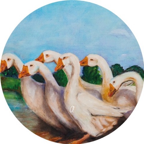 A1. Denis Kaznacheev - Visual Triangulation