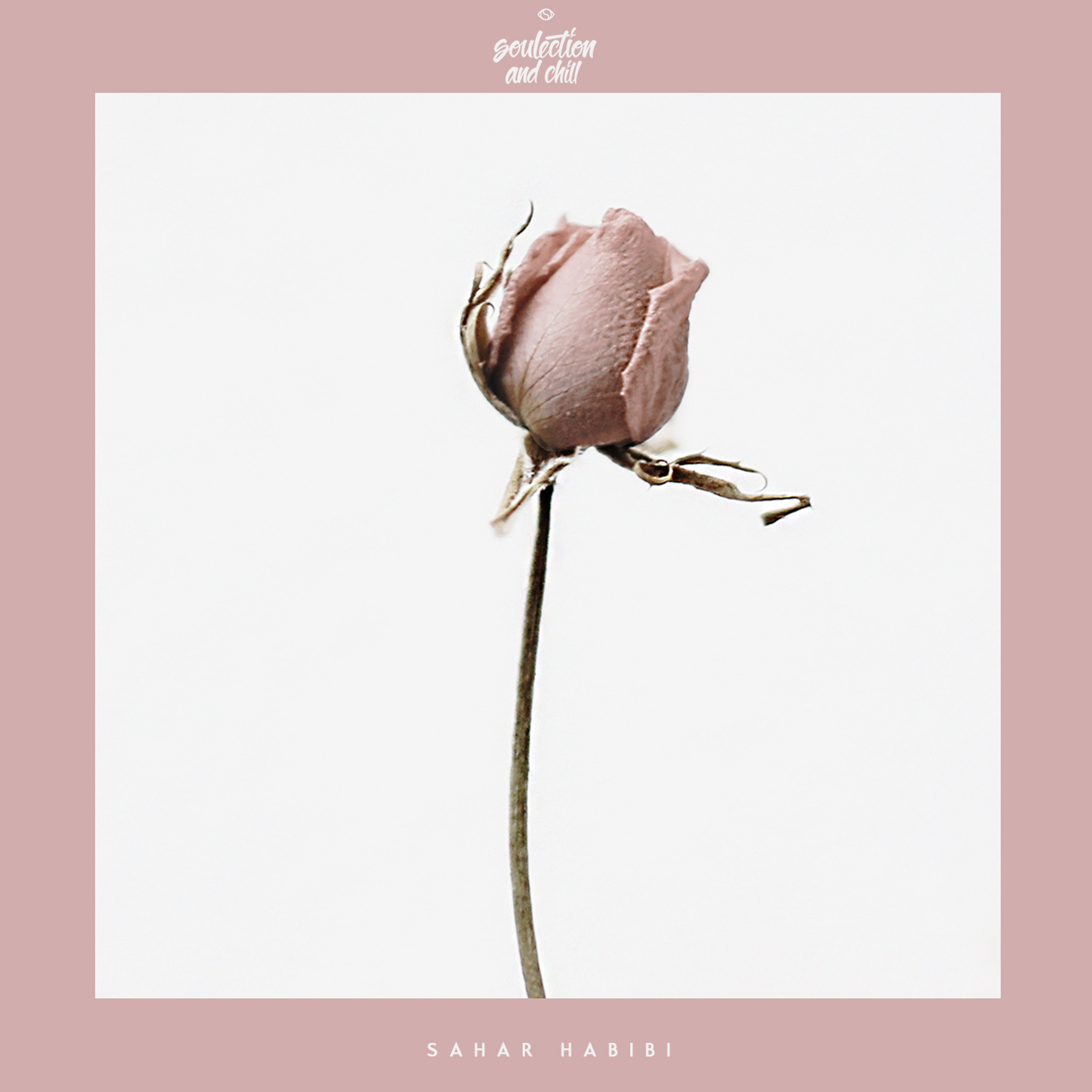 Sahar Habibi - Make You Mine