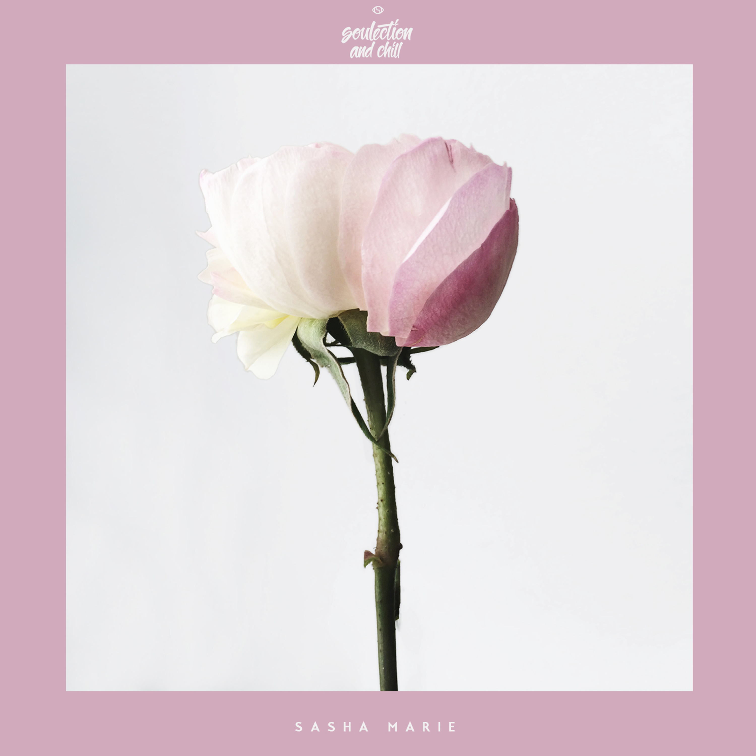 Sasha Marie - Lovers Contrast