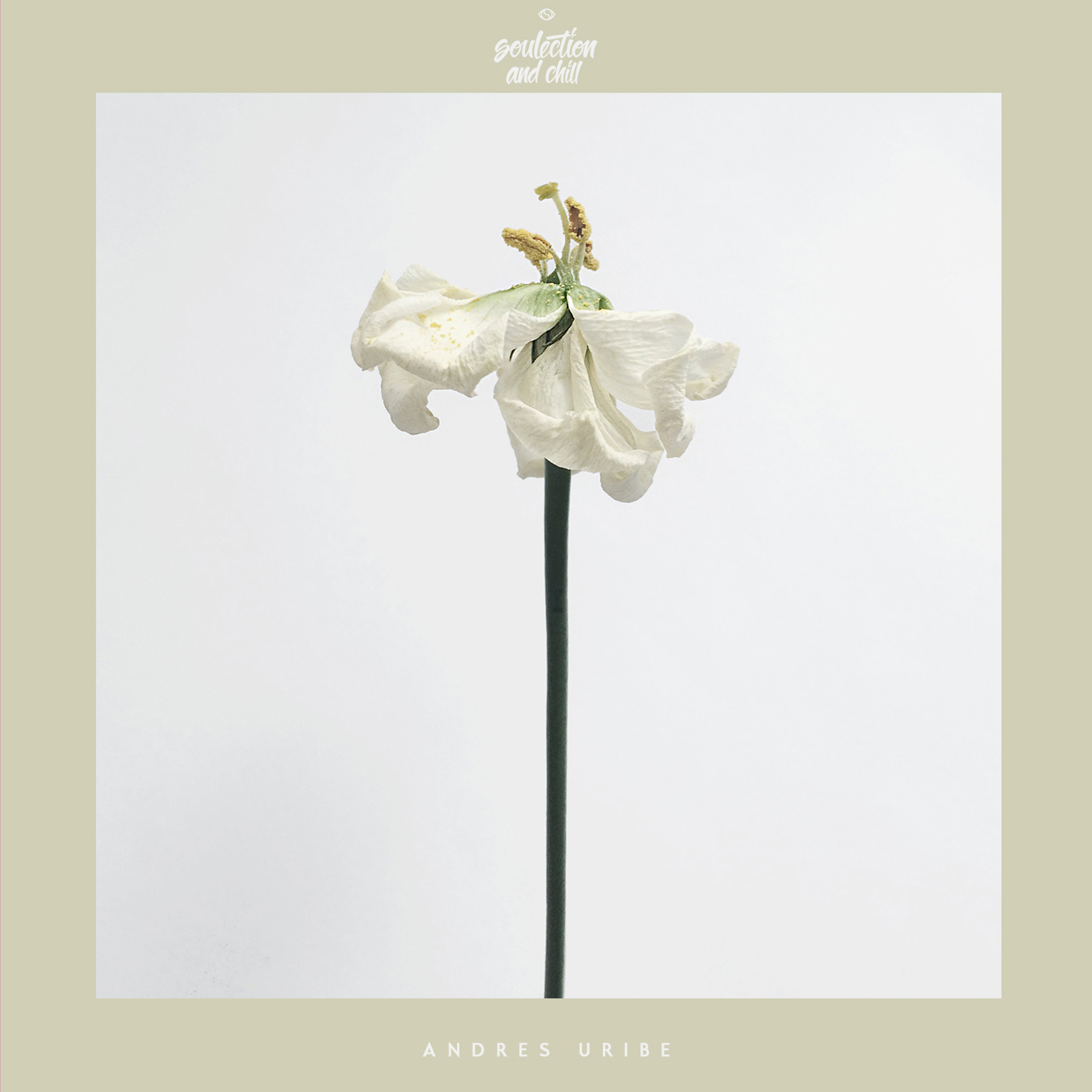 Andres Uribe - Labor of Love