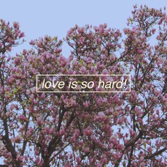 love is so hard!