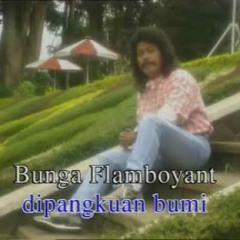 Bimbo - Flamboyan