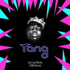 The Notorious B.I.G. - Can I Get Witcha (TANG REMIX)