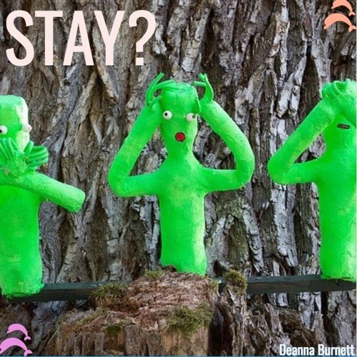 Stay?