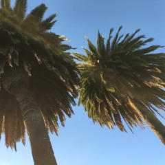 Shape Of You (Ed Sheeran) - Le Sun Remix