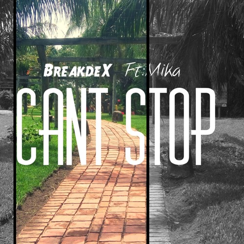 BreakdeX Ft:Mika - Cant Stop (Original mix)