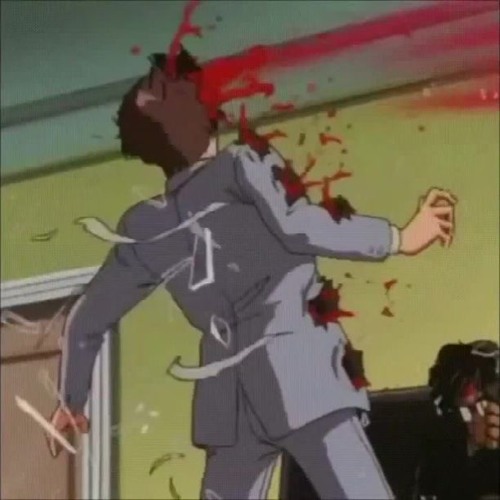 fool