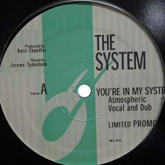 You're In My System (Atmospheric Dub) [Bridg 1999 Joyful Edit] - The System
