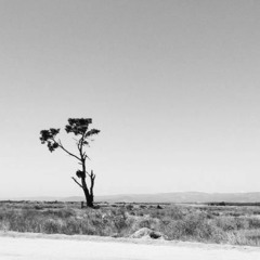 Las Flores - Café Tacvba (cover acústico)