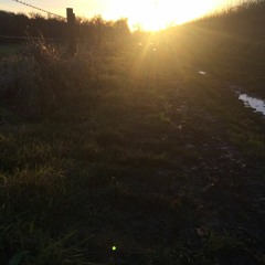 Bucky - All For Nothing