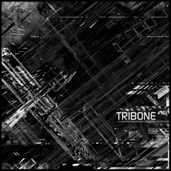 TRIBONE - Insatiable