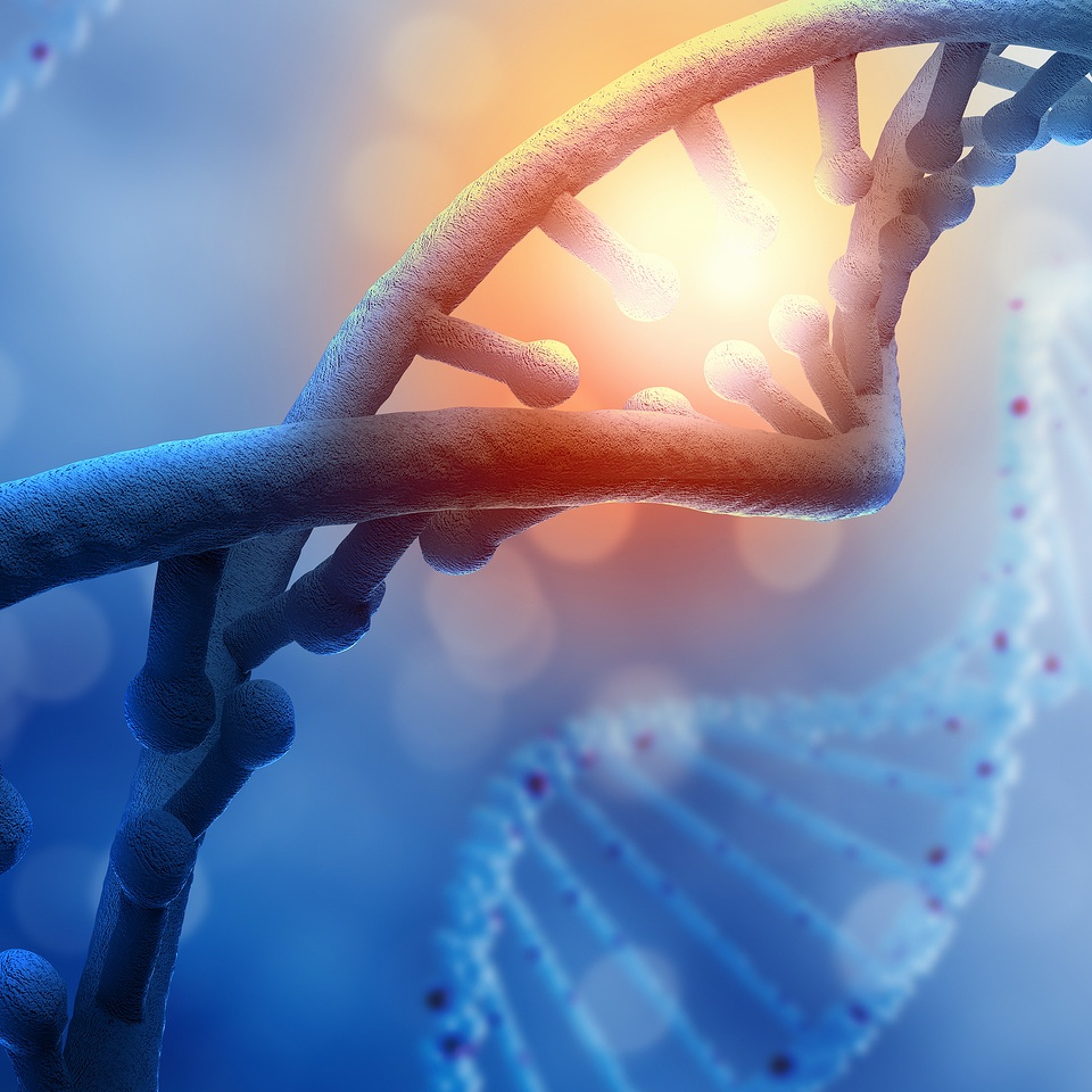 cover of episode Methylation & Gene Mutation - Radio Show Archive