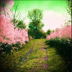 Green Skies and Alleyways