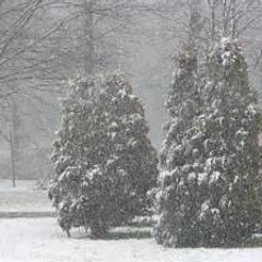 Snowfall (2014), 2015 Piano Arrangment