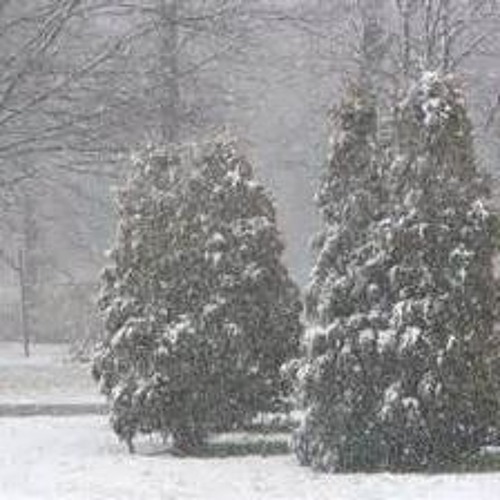 Snowfall (2014), 2015 Piano Arrangment