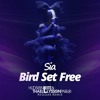 Sia Bird Set Free Hudson Leite And Thaellysson Pablo Reggae Remix Mp3