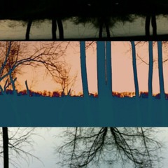 Whiskey & Transparency