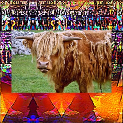 summertime fashion line soundtrack!!!