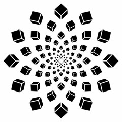 O.Z.O.R.A. 2017 Compilation