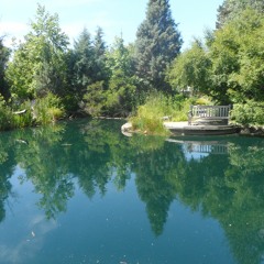 SoundsFromTheSacredTree-#1-AAnchor-Sex In A Time Machine Mix