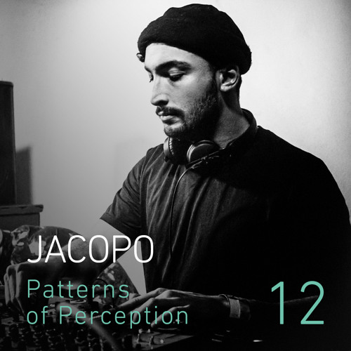 Patterns of Perception 12 - Jacopo [IfZ / 27.11.16]