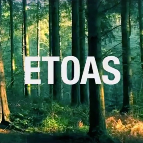 DEEB X ANONYMOUS MUSIK - Thoughts About Midday (New EP out Feb 26 on Cult Classic Records)