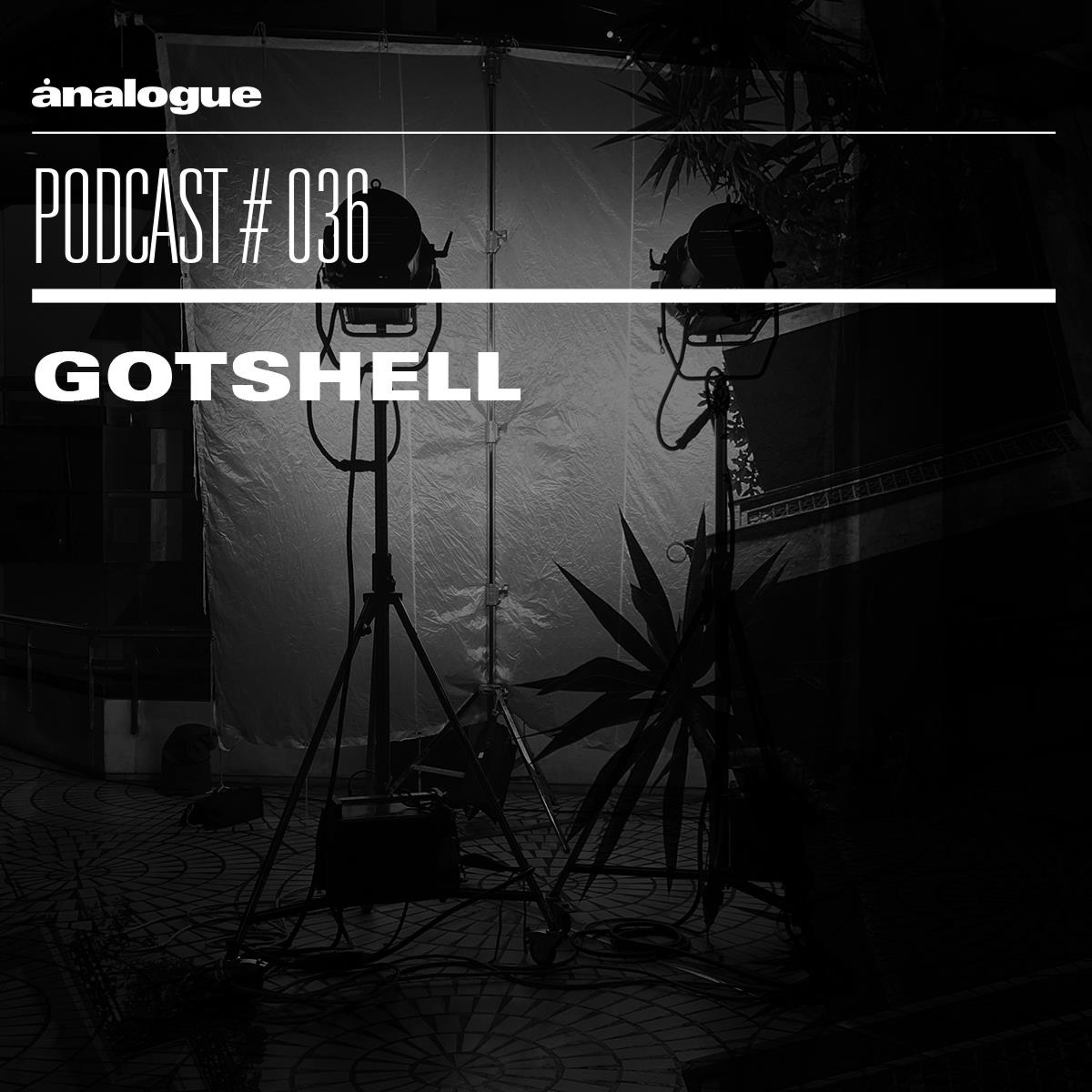 Analogue podcast #036 | GOTSHELL
