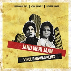 Janu Meri Jaan - Vipul Gaikwad Remix