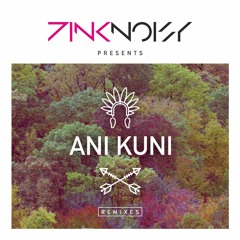 Pink Noisy - Ani Kuni (DiGi Remix)