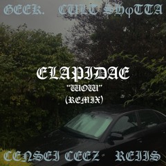 WOW REMIX (FT. CULT SHφTTA, REIIS, CENSEI CEEZ & GEEK)