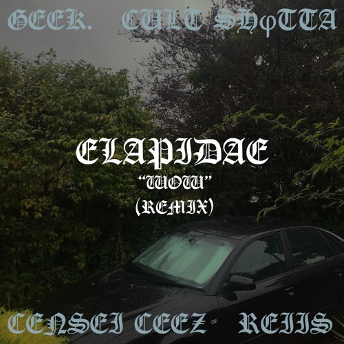 WOW REMIX (FT. CULT SHφTTA, REIIS, CENSEI CEEZ & GEEK)