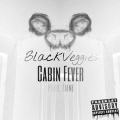 Cabin Fever(Feat. AntagoniZt & Flow Jones Jr.)