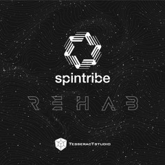 SPINTRIBE - REHAB (unofficial version)