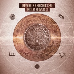 Mr.What - Tribalingua (Electric Gene Rmx) (Sample)