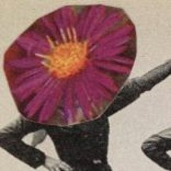Junebug (Pavlovich Studio *Acoustic* Version)