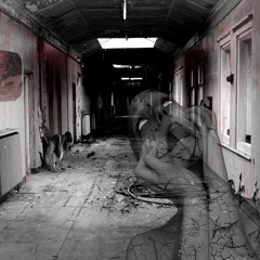 Asylum