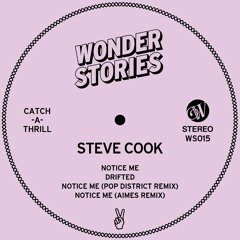 Steve Cook - Drifted