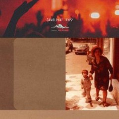 CamelPhat x Junior Jack - NYP2 (Mr. Waitwhat's Vocal Edit V1)