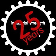 25 Years Industrial Strength Records Megamix By INNOVATIVE