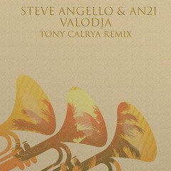 Steve Angello & AN21 - Valodja (Tony Calrya Remix)*Free Download*