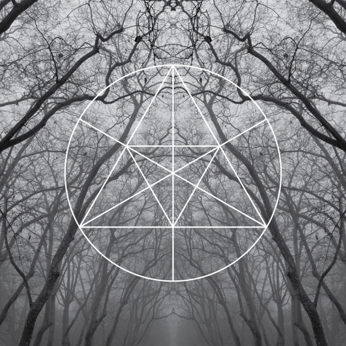Mysteries of the Deep LXIV - PLANT43 | AWAITING NEW LEAVES