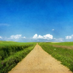 Fields - Jefferson Maxwell