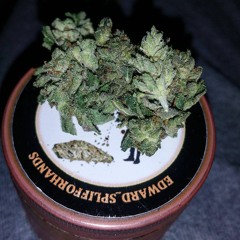 Dry Herb Vaping (Prod By Jammy Git) - Edward Splifforhands