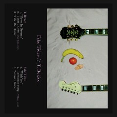 T. Rexico ~ Never In Dreams