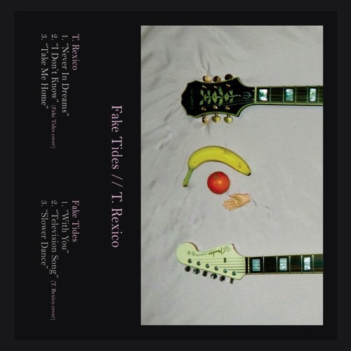 T. Rexico ~ Never In Dreams